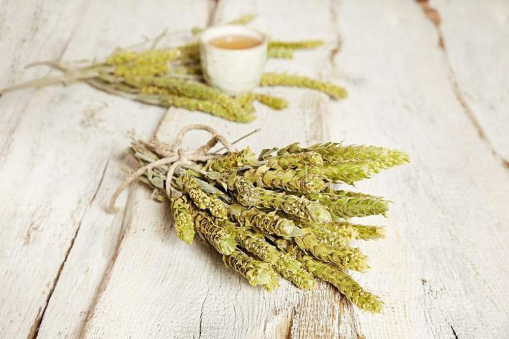 aroma-olymp-bio-bergtee-griechisch-sideritis-25g-lose image 6
