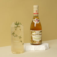 giuseppe-giusti-agrodolce-zenzero-condimento-ingwer-250-ml image 4