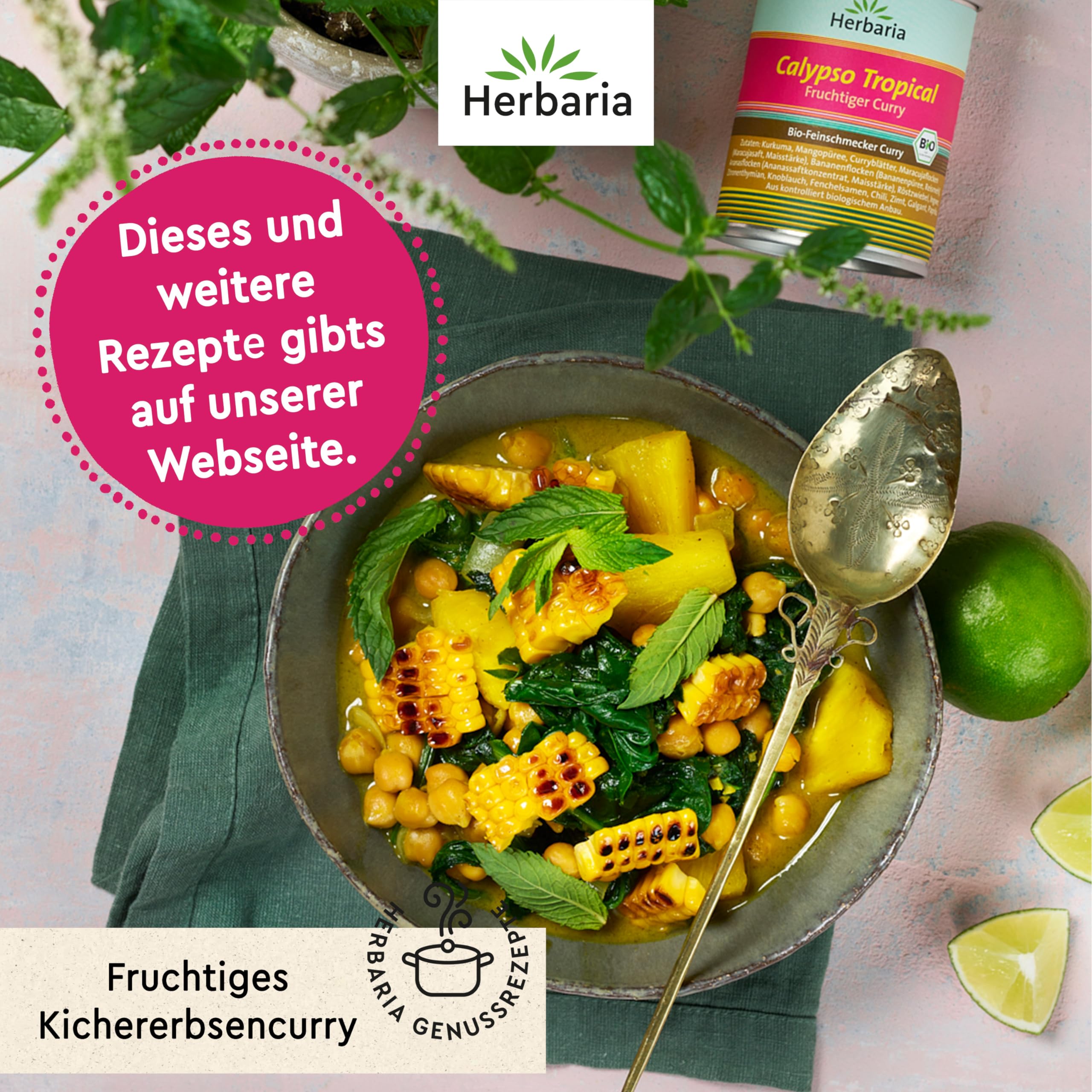 herbaria-calypso-tropical-curry-bio-85g-dose image 7