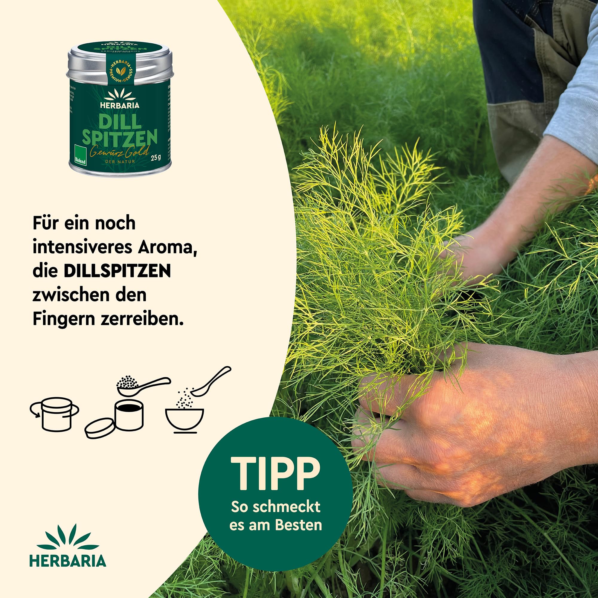 herbaria-einzelgew-rze-dillspitzen-getrocknet-25g-bio image 3