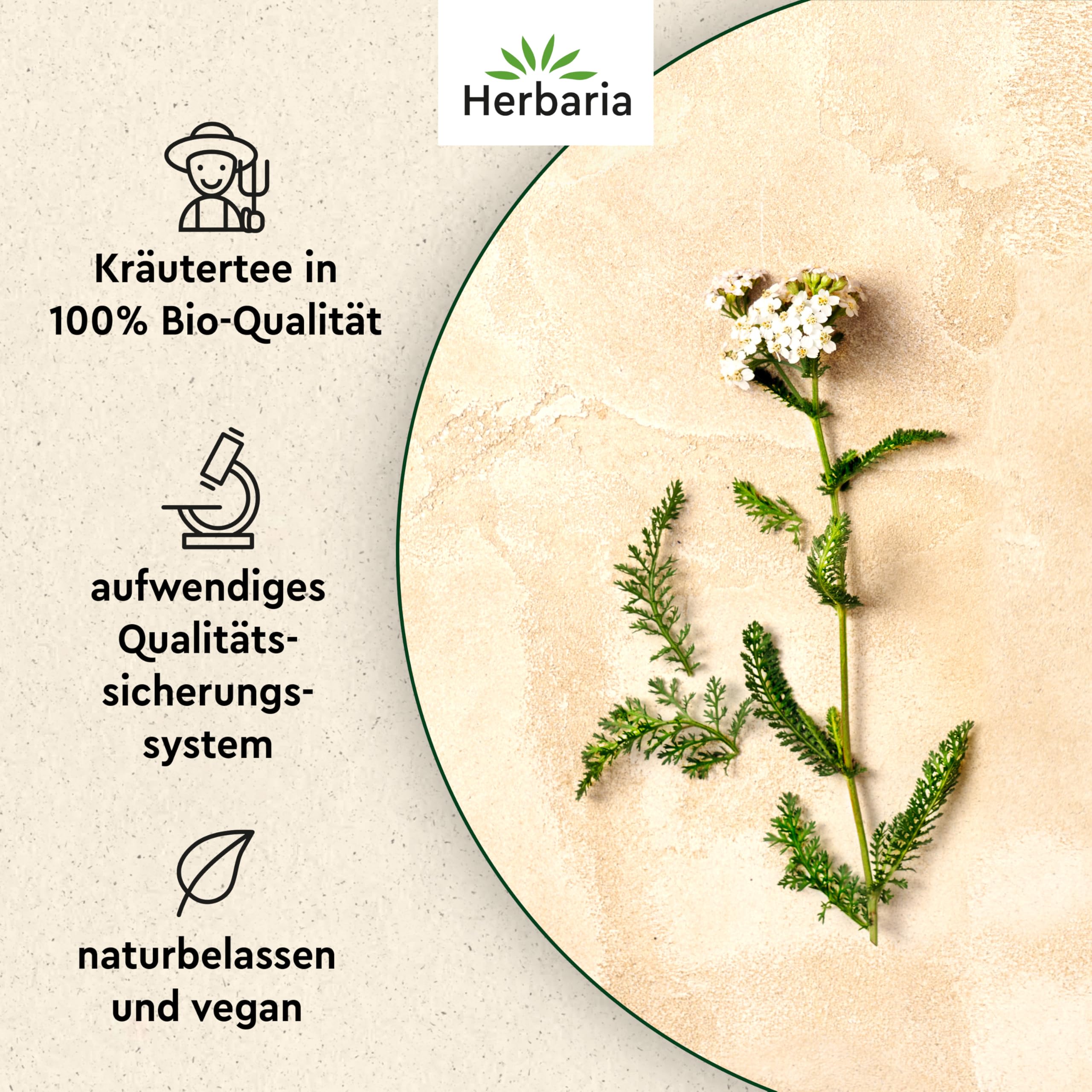 herbaria-schafgarbenkraut-bio-kr-utertee-100g-lose image 2